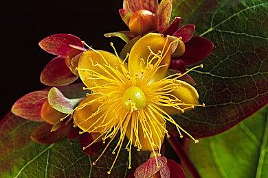 3DM速报：传小岛X微软合作基本谈妥 真三国无双电影IGN仅评2分